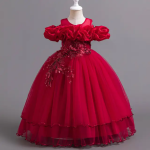 Robe princesse élégante pour filles et fillettes