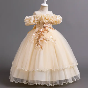 Robe princesse élégante pour filles et fillettes