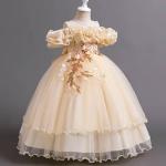 Robe princesse élégante pour filles et fillettes