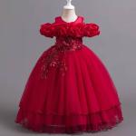 Robe de princesses Haut de gamme pour fillettes de 2 à 14 ans