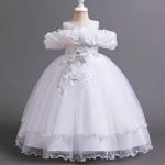 Robe de princesses Haut de gamme pour fillettes de 2 à 14 ans